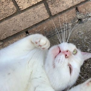 Meet your Posher, Dakotah